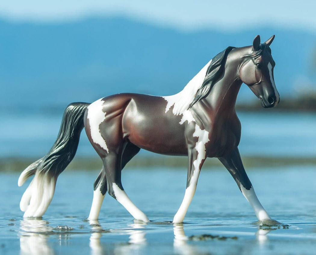 Pinto Horse