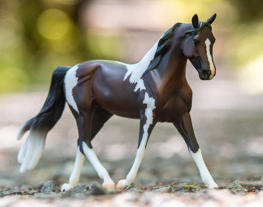 Pinto Horse