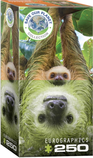 Sloths Puzzle