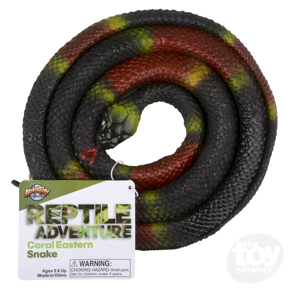 Rubber Eastern Coral Snake