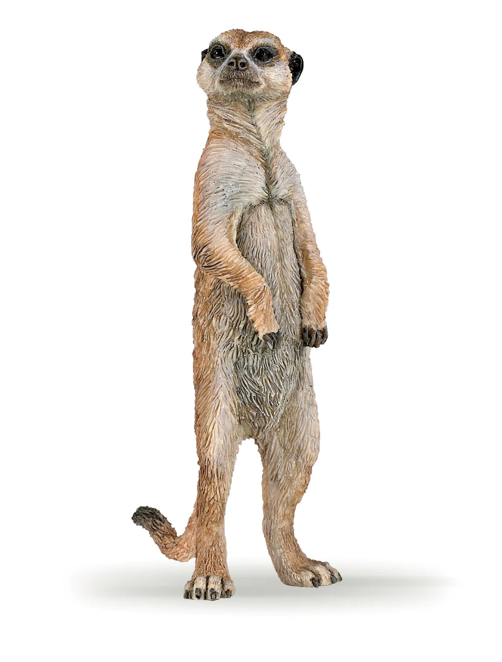 Standing Meerkat