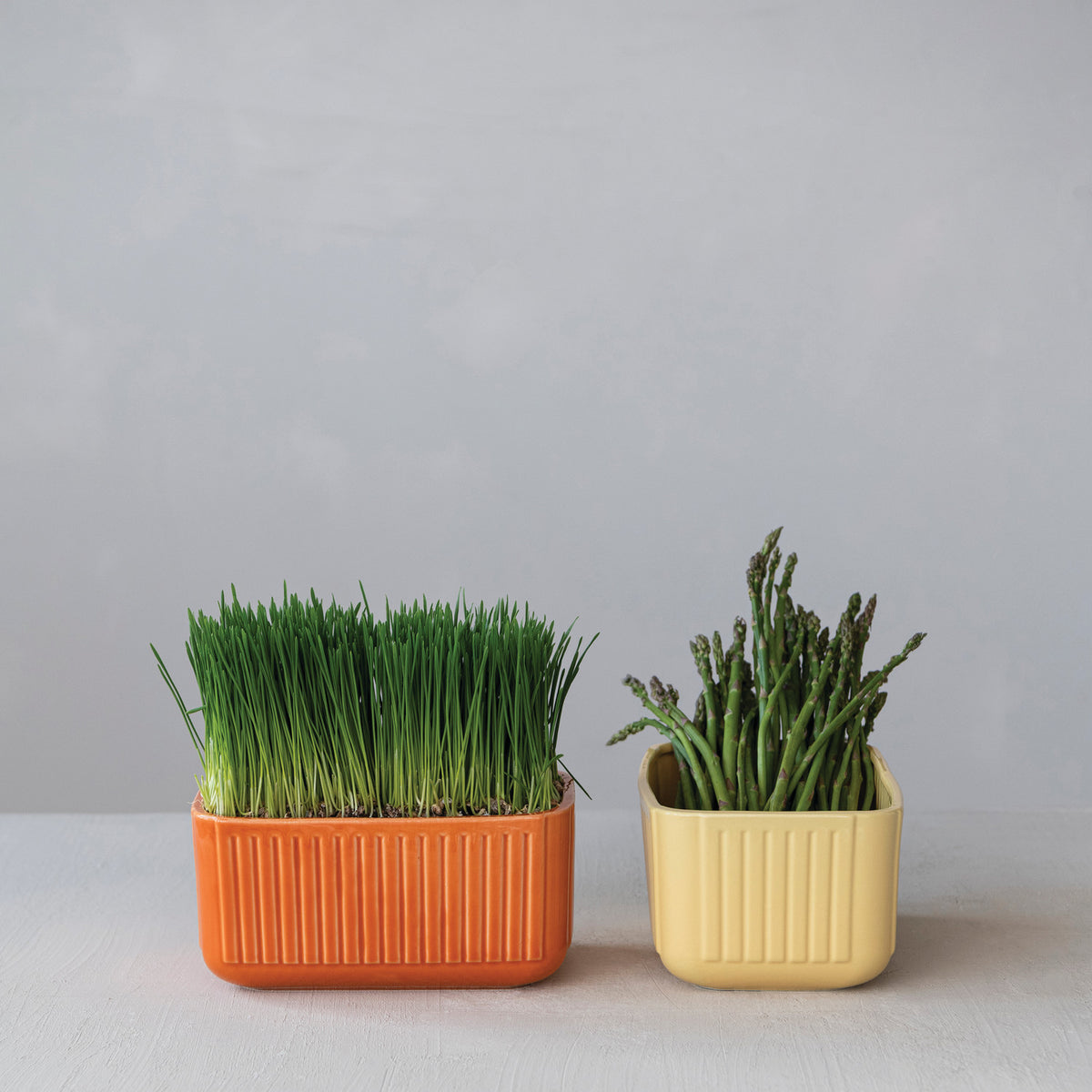 Stoneware Planter Container