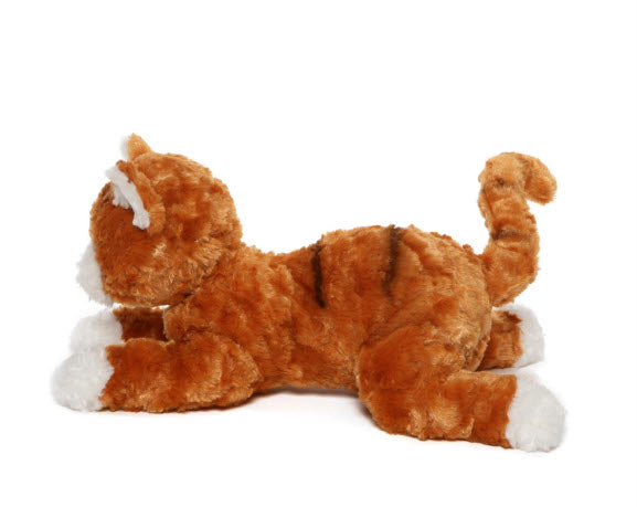 Sienna Orange Tabby Cat