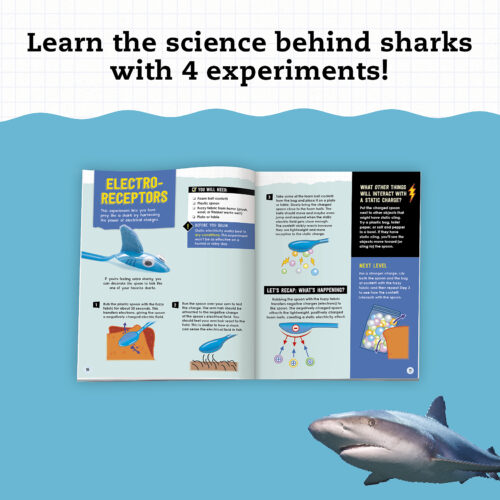 Steam Lab Shark-tastic Teeth