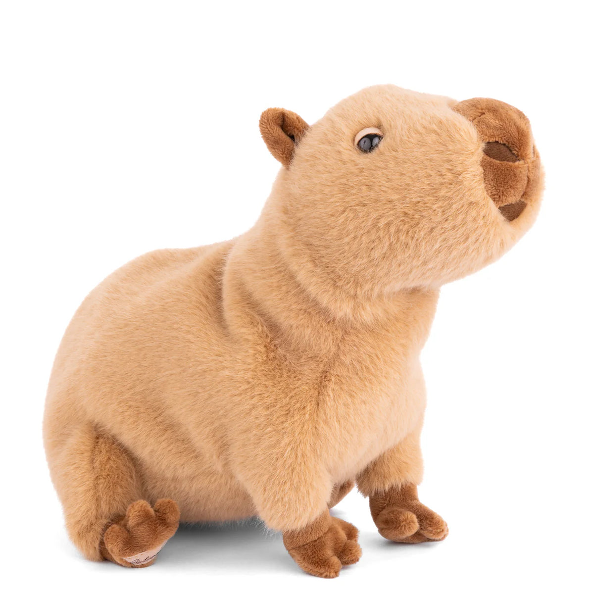 Theo Plush