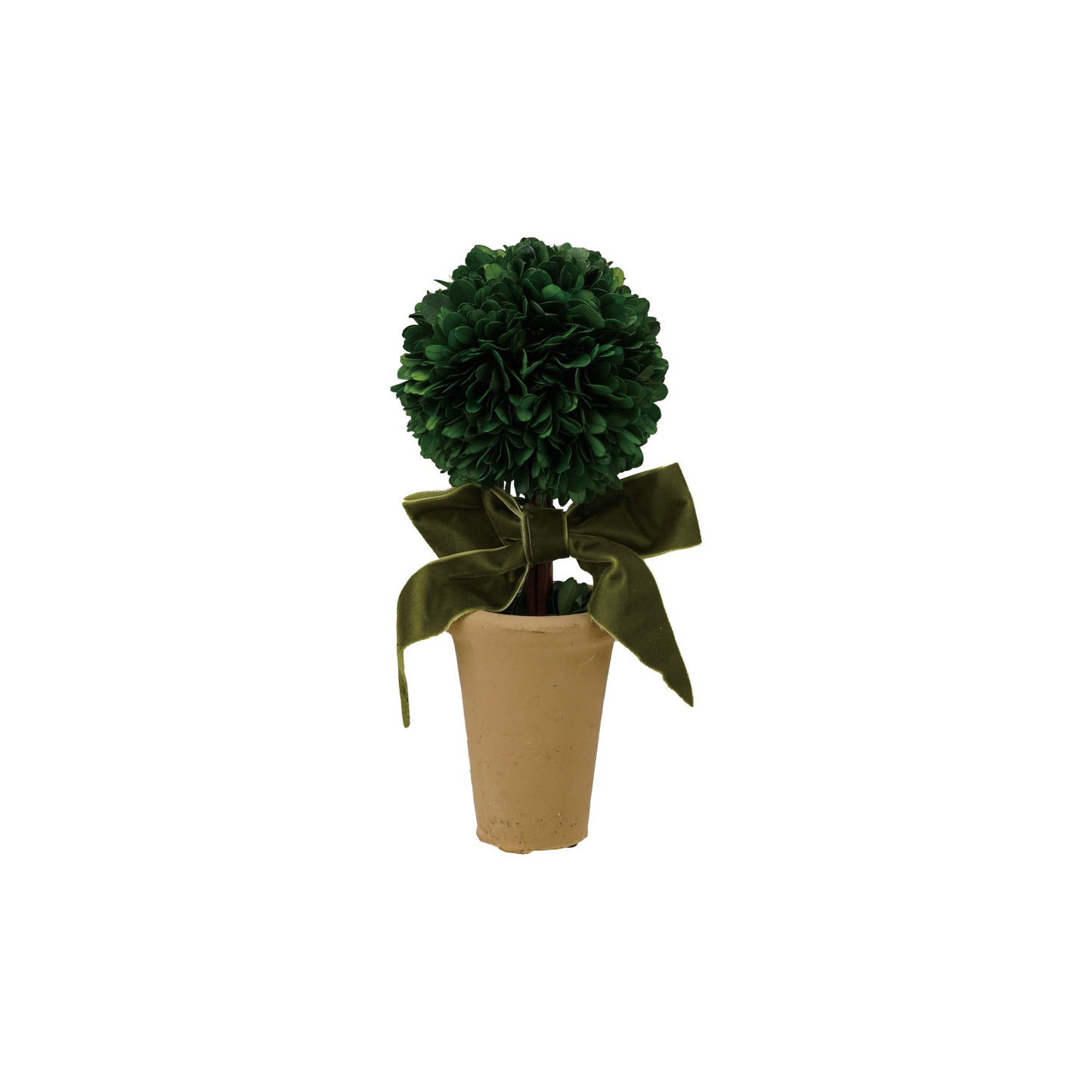Dried Boxwood Tree - Green Bow
