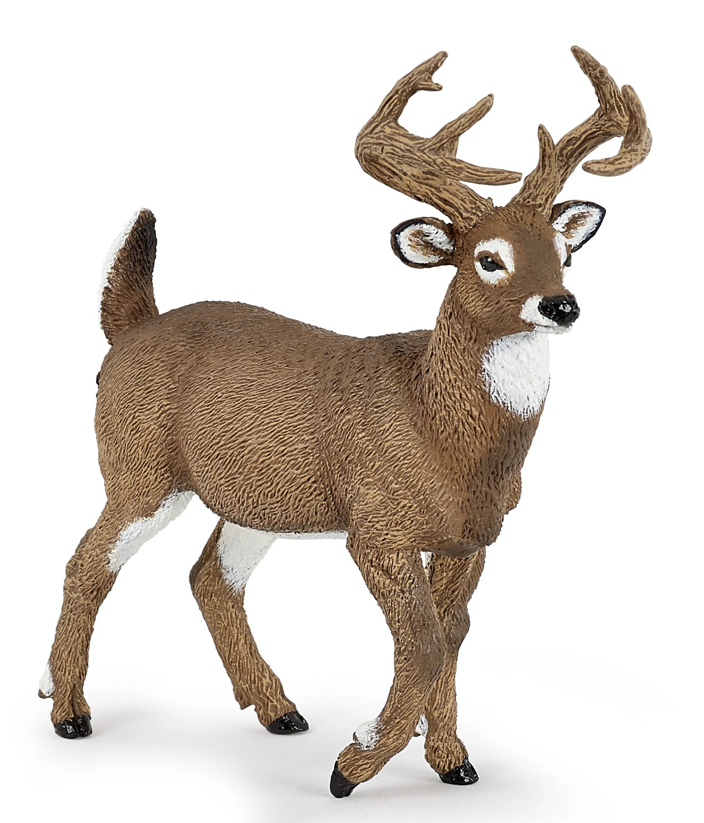 White-Tailed Deer