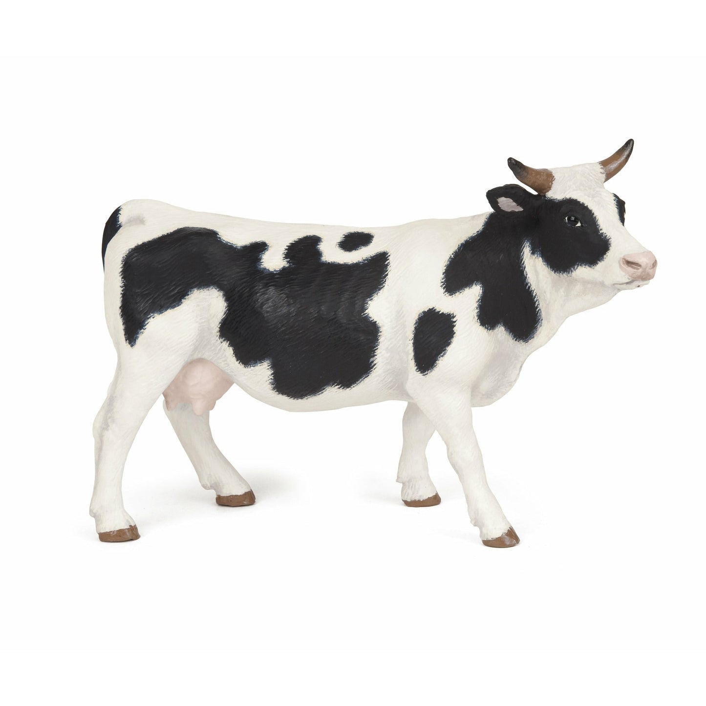 Black And White Cow