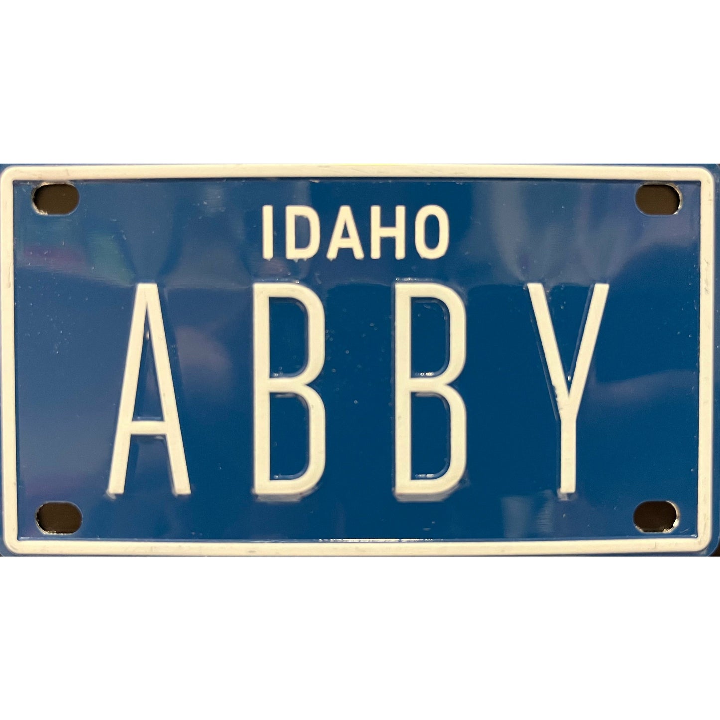 LPSV License Plate SUN VALLEY