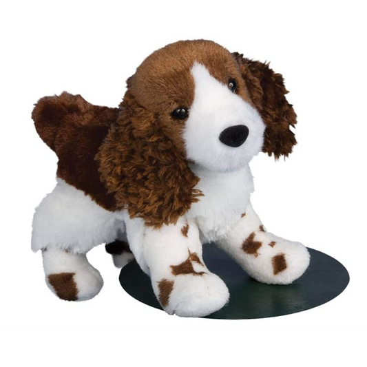 Flair Springer Spaniel