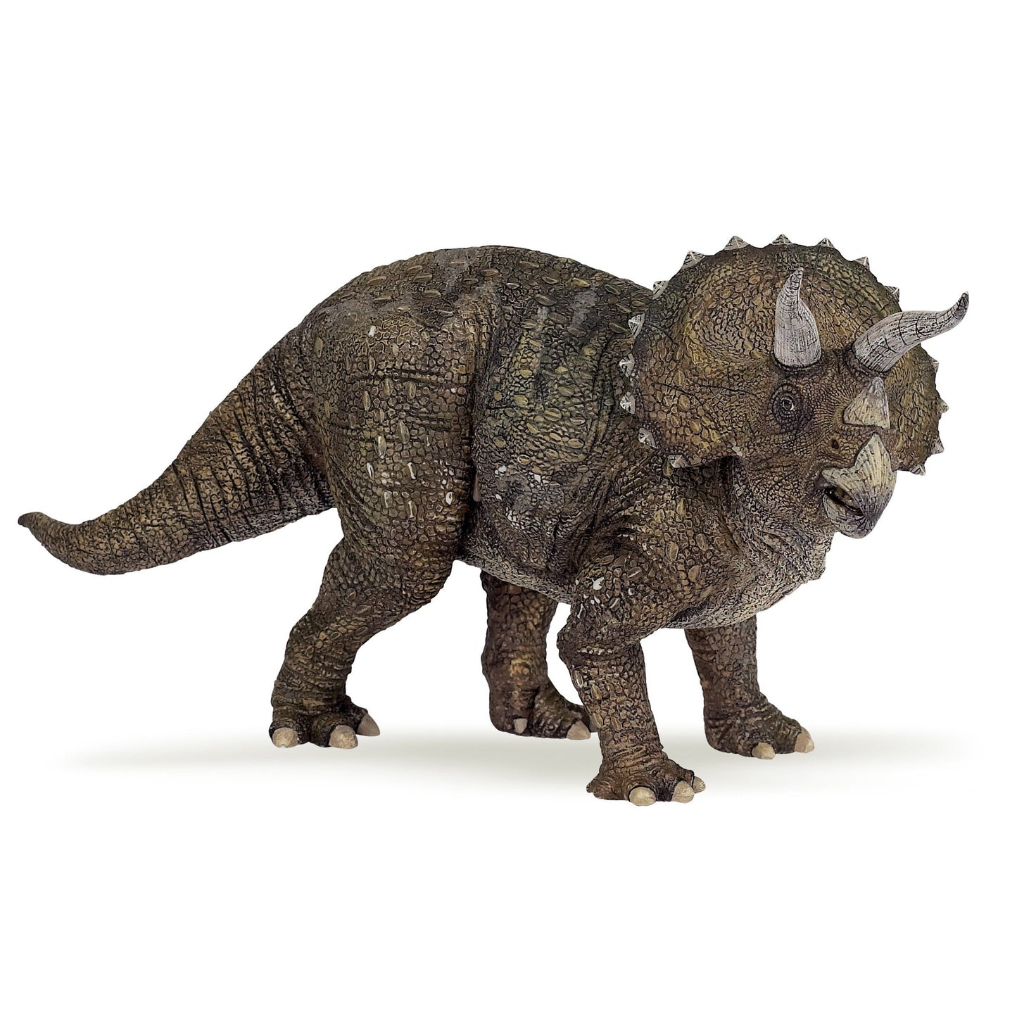 Triceratops