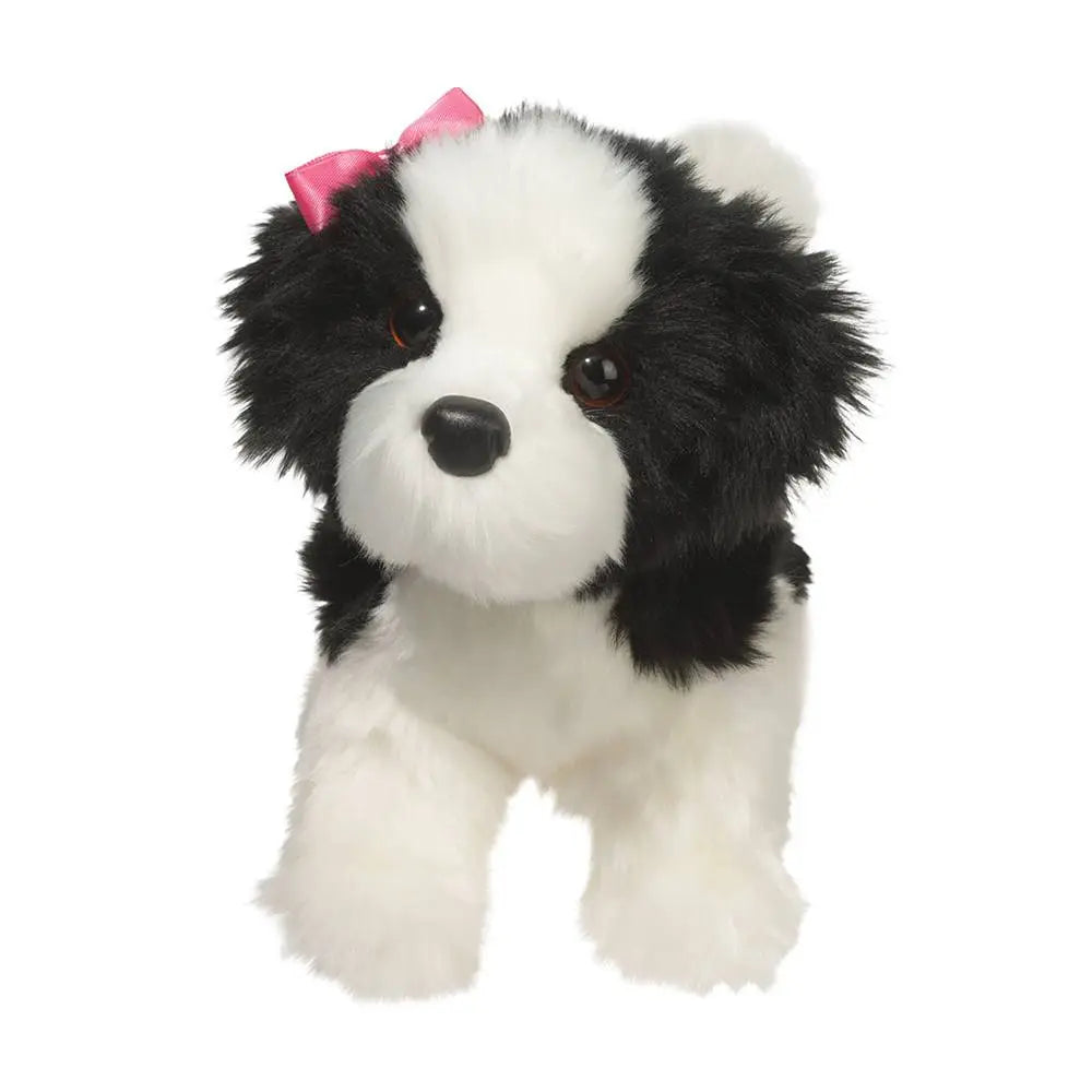 Poofy Black & White Shih-Tzu