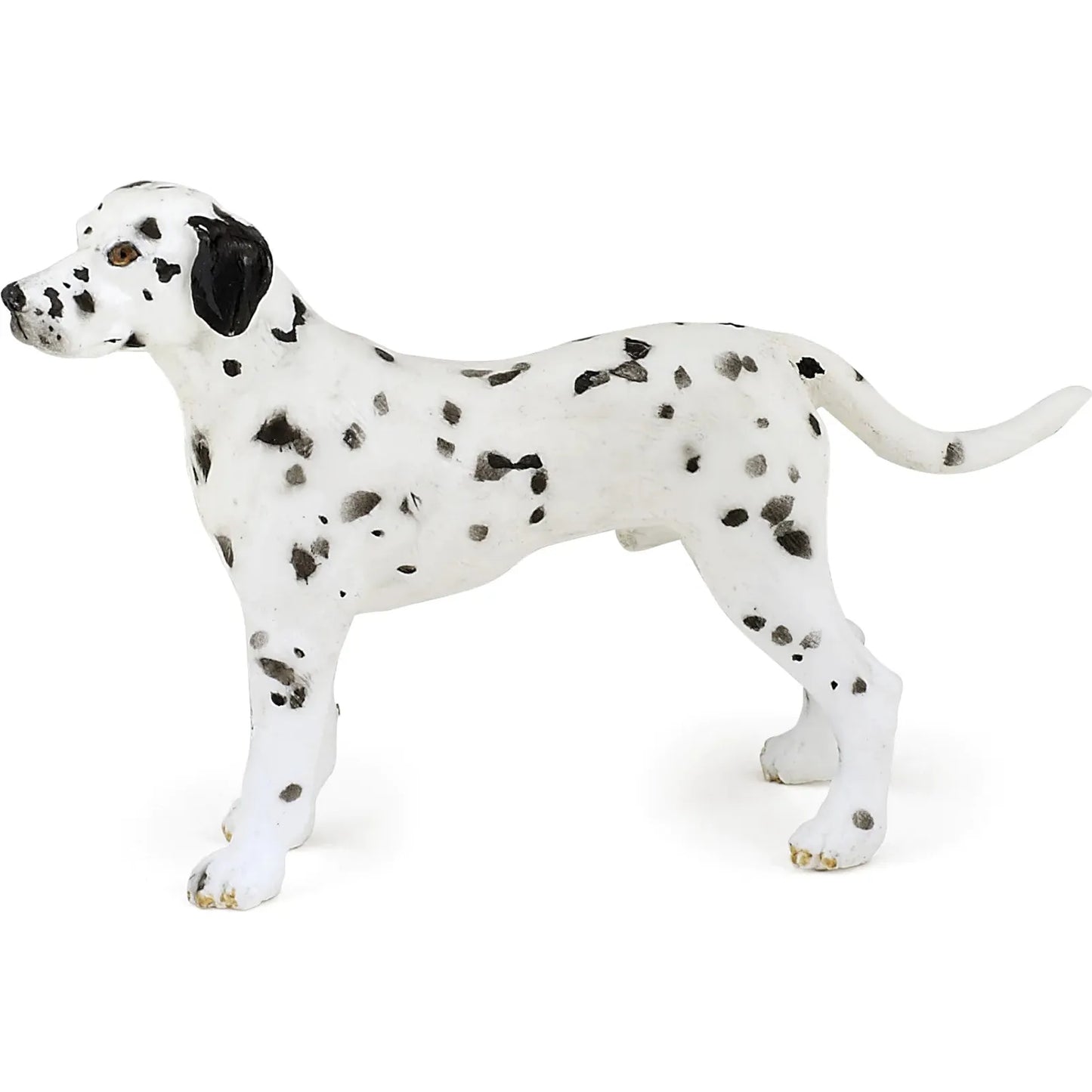 Dalmatian