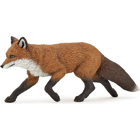 Fox