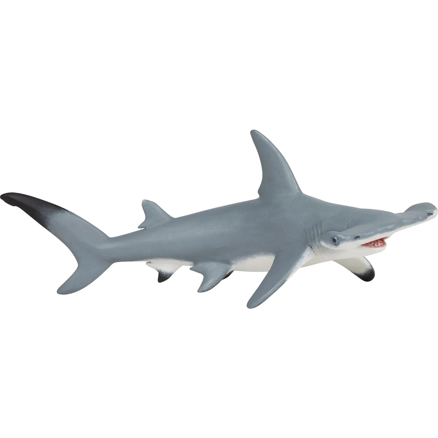 Hammerhead Shark