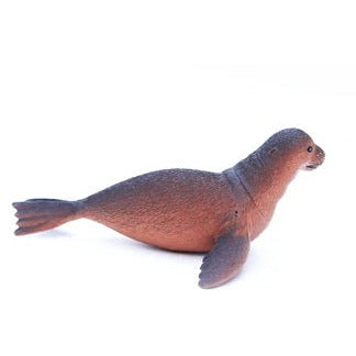 Small Sea Lion