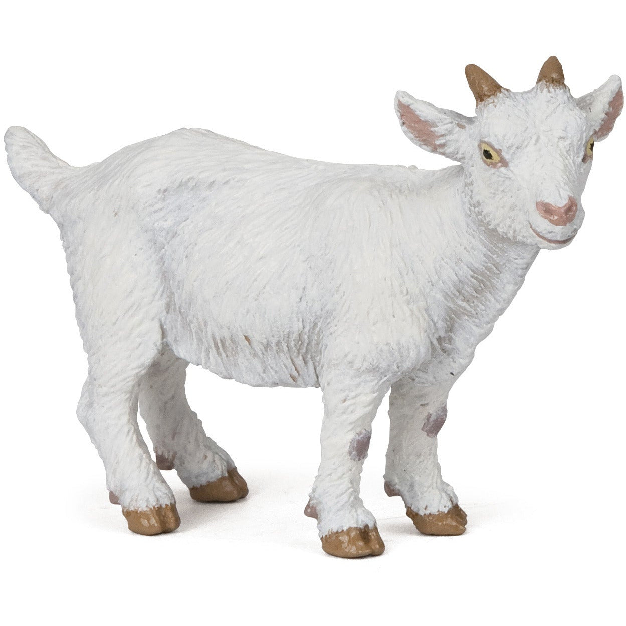 White Kid Goat